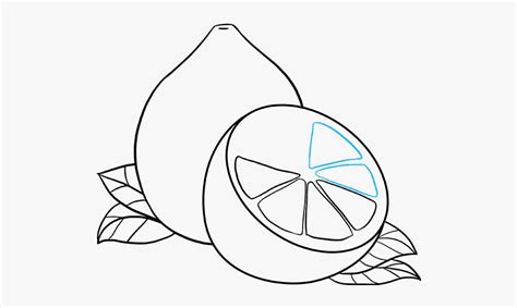 Image result for Simple Inside Lemon Drawing