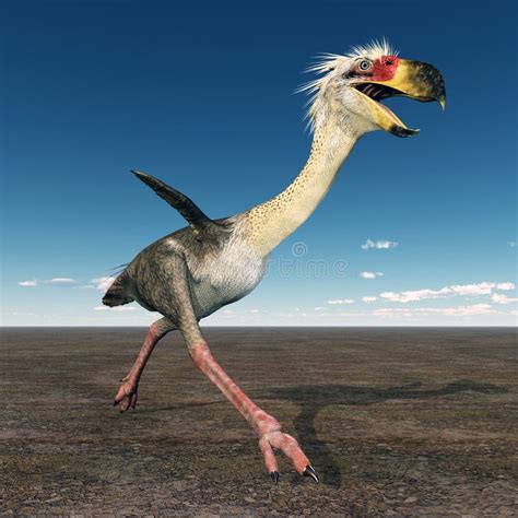 恐怖鸟Phorusrhacos 库存例证. 插画 包括有 妖怪, 种类, 双翼飞机, 恐龙, 巨型, 古生物学 - 27178114