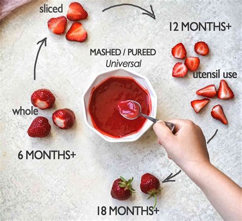 How To Serve Strawberries To Baby at Brianna Gellatly blog