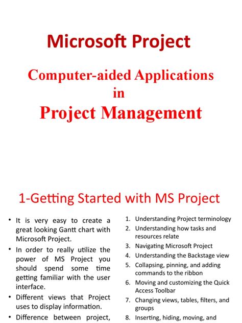 Image result for MS Project PDF
