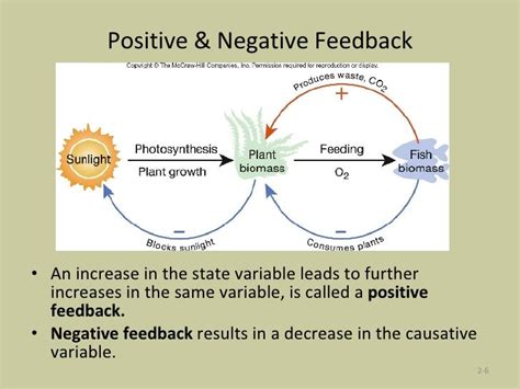 Image result for Negative Feedback Cycle Simple