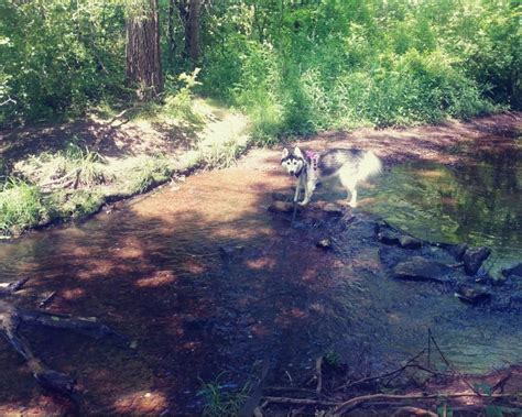 THE 30 BEST Places to Visit in Ashburn (2025) - Must-See Attractions