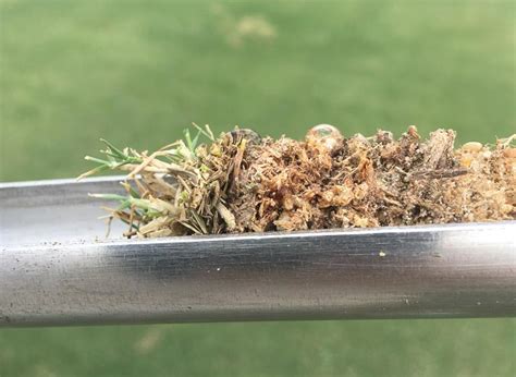 Sand Capped Sports Fields 的图像结果