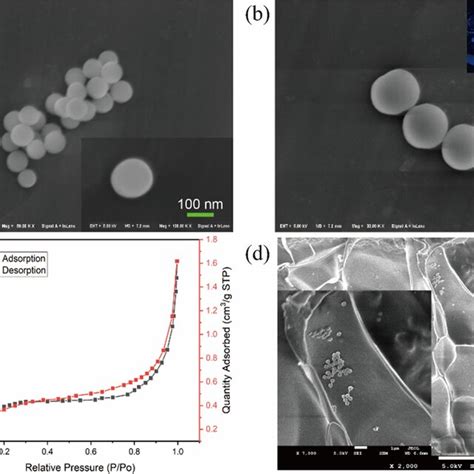 SiO2 Particles 的图像结果