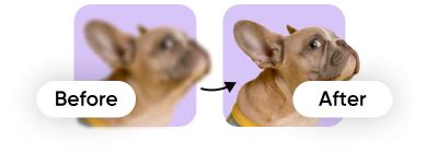 Enhance Roblox Visuals 的图像结果