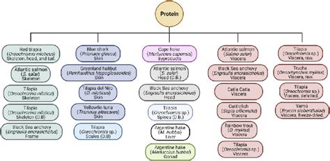 Types 的图像结果