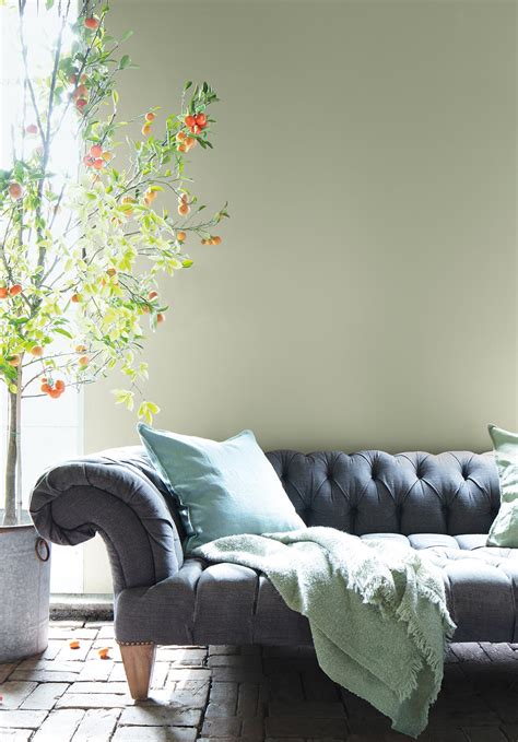 Benjamin Moore Silver Sage