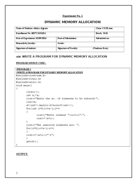 Simulation Lab Format Example 的图像结果