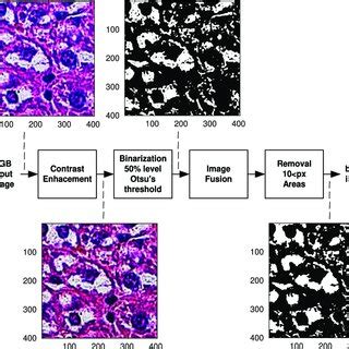 Image result for Preprocessing
