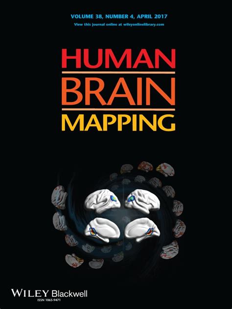 Image result for Brain Mapping Research