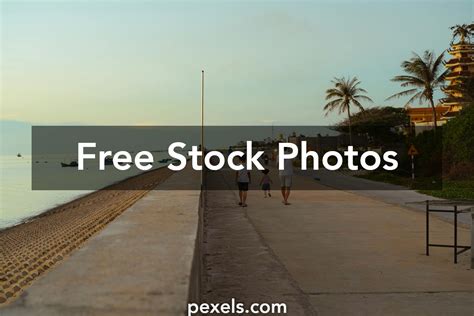 Calm Nature 的图像结果