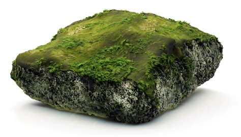 Premium Photo | Rock covered with moss on white BG