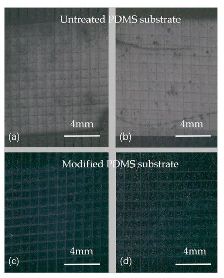 A Flexible Pressure Sensor Based on Magnetron Sputtered MoS2