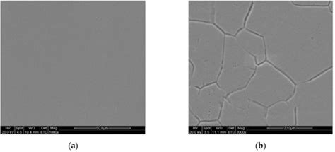Coatings | June 2020 - Browse Articles
