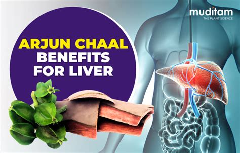 Benefits of Arjun Chaal for Liver Health – Muditam Ayurveda