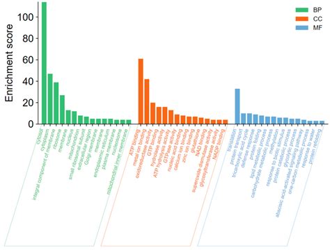 Proteomic Analysis of Apple Response to Penicillium expansum Infection ...