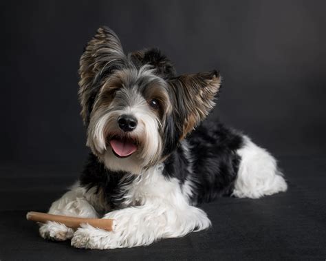 Photography Peple 的图像结果