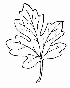 Leaf Clipart Black And White by Harvest Clipart Black And White Clipart Panda Free Leaf Clipart Black And White