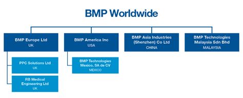 Image result for BMP Org History
