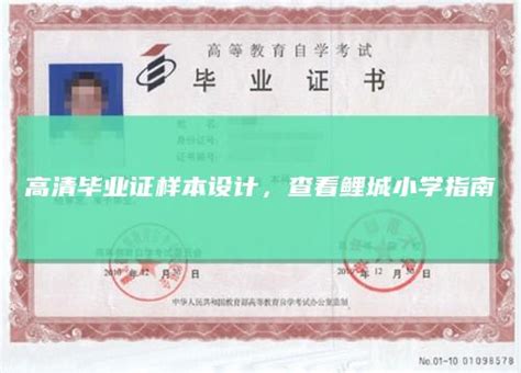 江苏大学毕业证编号:10299_毕业证样本网
