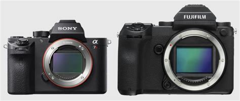 Fuji Full Frame Camera 的图像结果