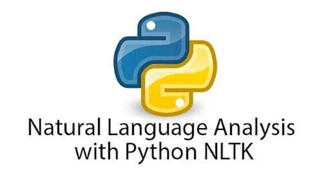 Most Popular Python Libraries Pytorch 的图像结果