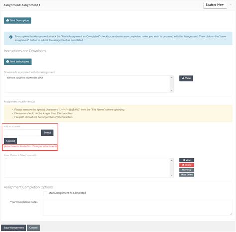 Assignment Module 的图像结果