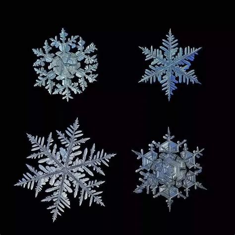 Image result for Snowflake Query Profile
