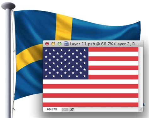 Image result for Flag Transform