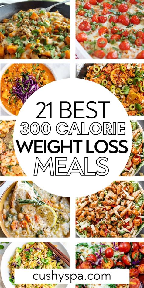 21 Healthy 300 Calorie Meals | 300 calorie meals, Low cal recipes, Low ...