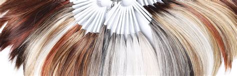 Wig Color Numbers 的图像结果