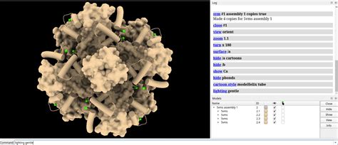 Chimerax SYM Function 的图像结果
