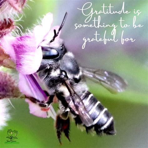 The Opposite of Gratitude As I sat with a coffee and watched the ...