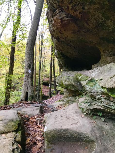 Hemlock Cliffs – Indiana – Planned Spontaneity | Places to travel ...