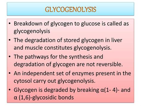 Glycogenolysis pathway and its regulation a detailed study. | PPTX