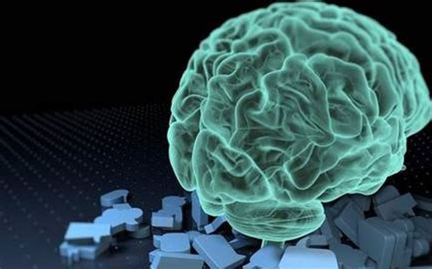 A Study Conducted By IIT Reveals Indians Have A Smaller Brain Compared ...