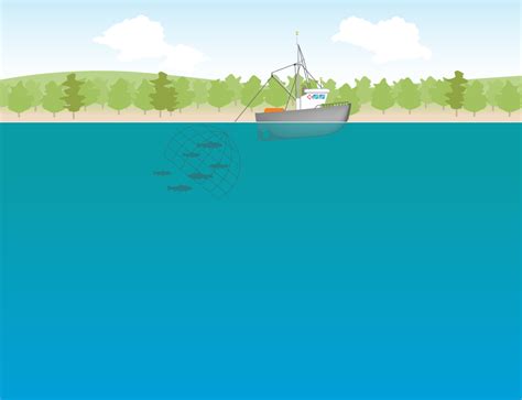 Image result for Lesson 1 Overfishing Simulation Code.org