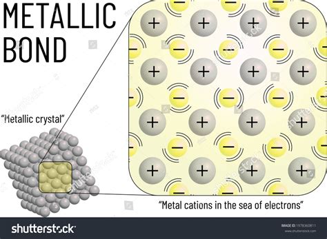 1,696 imágenes de Metallic bond structure - Imágenes, fotos y vectores ...