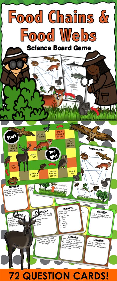 Food Chain Games For Classroom - Design Talk