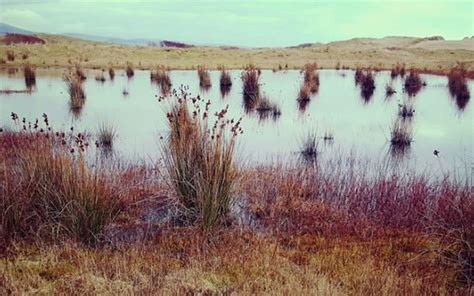 Resource Distribution 的图像结果