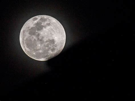 Super Flower Blood Moon Photos