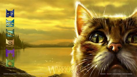 Warrior Cats Wallpapers on WallpaperDog