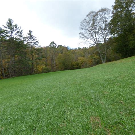 LINVILLE FALLS CAMPGROUND (BLUE RIDGE PKWY) - Campground Reviews ...