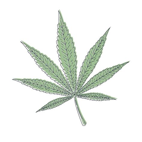 Pot leaf clip art Images - Free Download on Freepik