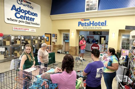 How Much Does Petsmart Pay