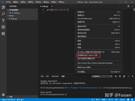 Python Shell vs Code 的图像结果