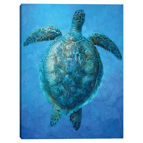 Masterpiece Turtle Serenity I by Studio Arts Canvas Wall Art