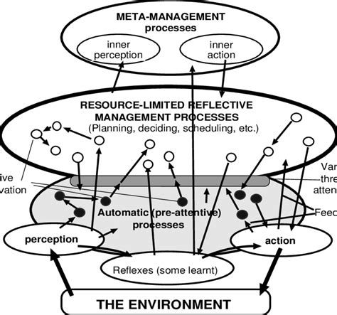 Image result for Intelligent Agent Architecture