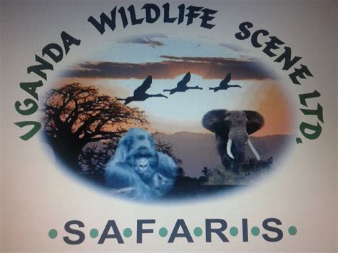 UGANDA WILDLIFE SCENE SAFARIS (2026) All You Need to Know BEFORE Going ...