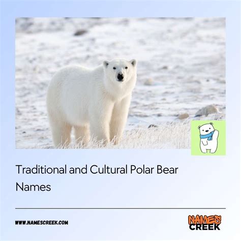 Comprehensive List Of 209 Polar Bear Names